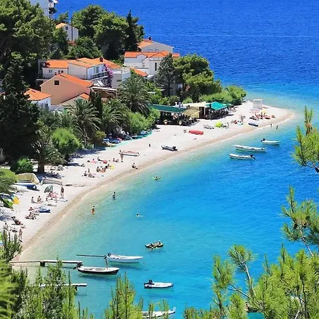 Seaside Jelica * Stanici